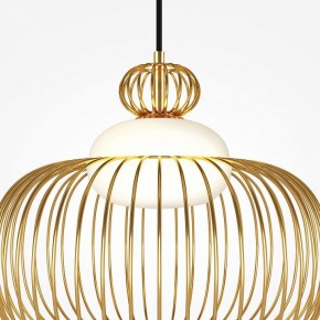 Подвесной светильник Maytoni Levitation MOD376PL-01G в Лысьве - lysva.ok-mebel.com | фото 6