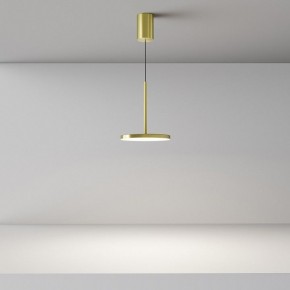Подвесной светильник Maytoni Plato P076PL-L12W4K-BS в Лысьве - lysva.ok-mebel.com | фото 4