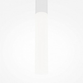 Подвесной светильник Maytoni Pro Shade MOD157PL-L6WK в Лысьве - lysva.ok-mebel.com | фото 6