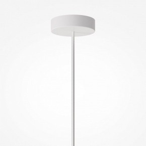 Подвесной светильник Maytoni Toys MOD405PL-01W1 в Лысьве - lysva.ok-mebel.com | фото 8