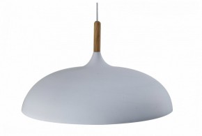 Подвесной светильник Moderli Hygo V11447-1P в Лысьве - lysva.ok-mebel.com | фото