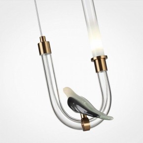 Подвесной светильник Odeon Light Lark 5431/2L в Лысьве - lysva.ok-mebel.com | фото 6