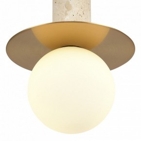Подвесной светильник ST-Luce Earthy SL1194.303.01 в Лысьве - lysva.ok-mebel.com | фото 5