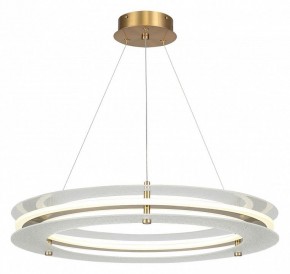 Подвесной светильник ST-Luce FAGY SL6245.203.01 в Лысьве - lysva.ok-mebel.com | фото 2
