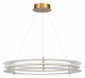 Подвесной светильник ST-Luce FAGY SL6245.203.01 в Лысьве - lysva.ok-mebel.com | фото 3