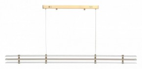 Подвесной светильник ST-Luce FAGY SL6245.223.01 в Лысьве - lysva.ok-mebel.com | фото 3