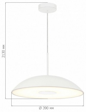 Подвесной светильник ST-Luce Lido SL6128.503.01 в Лысьве - lysva.ok-mebel.com | фото 4