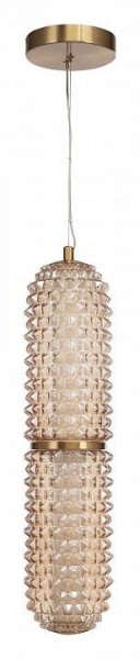 Подвесной светильник ST-Luce SAGUARO SL6144.303.01 в Лысьве - lysva.ok-mebel.com | фото 3