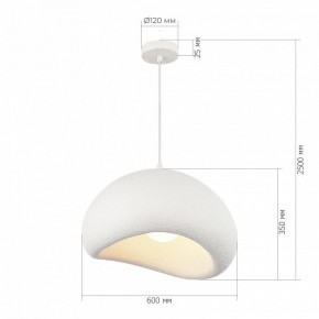 Подвесной светильник ST-Luce WABI SABI SL1522.513.01 в Лысьве - lysva.ok-mebel.com | фото 5