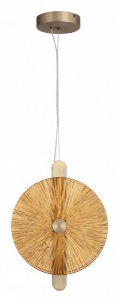 Подвесной светильник ST-Luce WASI SL6141.313.01 в Лысьве - lysva.ok-mebel.com | фото 3