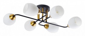 Потолочная люстра Arte Lamp Andrea A8141PL-6BK в Лысьве - lysva.ok-mebel.com | фото