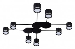 Потолочная люстра Arte Lamp Legacy A8024PL-8BK в Лысьве - lysva.ok-mebel.com | фото
