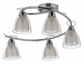 Потолочная люстра Arti Lampadari Paola, Tavenna Nickel Paola E 1.1.5 N в Лысьве - lysva.ok-mebel.com | фото