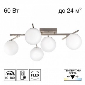 Потолочная люстра Citilux Dorsy CL223151 в Лысьве - lysva.ok-mebel.com | фото 2