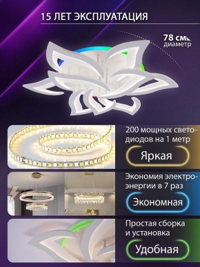 Потолочная люстра Natali Kovaltseva OLIMP LED LAMPS 81435 в Лысьве - lysva.ok-mebel.com | фото 5
