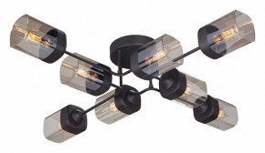 Потолочная люстра Vitaluce 4889 V4889-1/8PL в Лысьве - lysva.ok-mebel.com | фото
