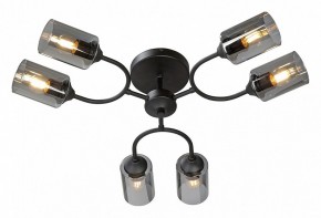 Потолочная люстра Vitaluce V2823 V2823-1/6PL в Лысьве - lysva.ok-mebel.com | фото 2