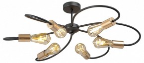 Потолочная люстра Vitaluce V3076 V3076-1/6PL в Лысьве - lysva.ok-mebel.com | фото 3