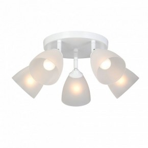 Потолочная люстра Vitaluce V4355 V4355-0/5PL в Лысьве - lysva.ok-mebel.com | фото 2