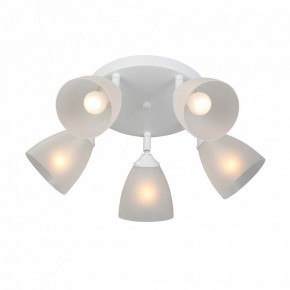 Потолочная люстра Vitaluce V4355 V4355-0/5PL в Лысьве - lysva.ok-mebel.com | фото 3