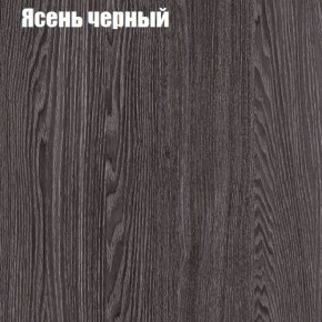 Прихожая ДИАНА-4 сек №11 (Ясень анкор/Дуб эльза) в Лысьве - lysva.ok-mebel.com | фото 3