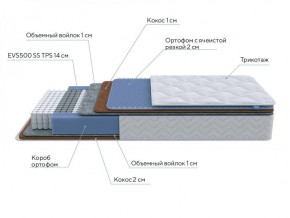 PROxSON Матрас Active Duo M/F (Ткань Трикотаж Эко) 120x190 в Лысьве - lysva.ok-mebel.com | фото 6