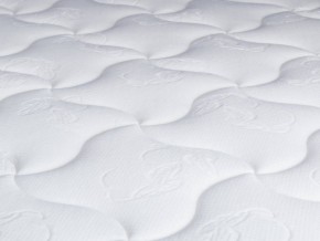 PROxSON Матрас Active Duo S/F (Ткань Трикотаж Эко) 120x190 в Лысьве - lysva.ok-mebel.com | фото 10