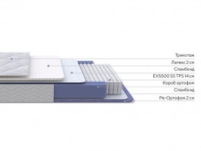 PROxSON Матрас Active Duo S/F (Ткань Трикотаж Эко) 160x195 в Лысьве - lysva.ok-mebel.com | фото