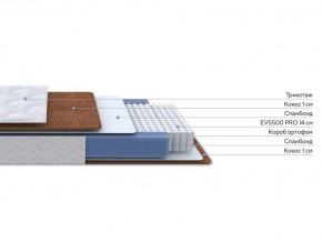 PROxSON Матрас Active F Roll (Ткань Трикотаж Эко) 90x190 в Лысьве - lysva.ok-mebel.com | фото 2