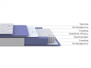 PROxSON Матрас Active F (Ткань Трикотаж Эко) 80x200 в Лысьве - lysva.ok-mebel.com | фото 2