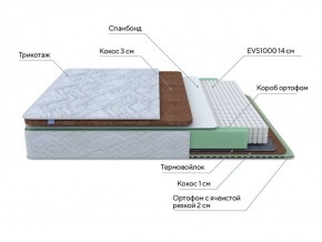 PROxSON Матрас Green Duo M/F (Tricotage Dream) 120x195 в Лысьве - lysva.ok-mebel.com | фото 7