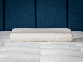 PROxSON Подушка Кроха (Ткань Трикотаж) 39x24 в Лысьве - lysva.ok-mebel.com | фото 6