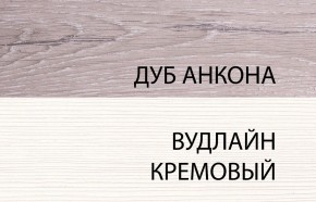 Шкаф 2DG, OLIVIA, цвет вудлайн крем/дуб анкона в Лысьве - lysva.ok-mebel.com | фото 3