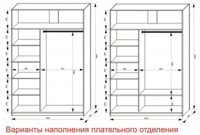 Шкаф-купе 1600 серии SOFT D6+D4+B2+PL2 (2 ящика+1штанга+1 полка) профиль «Капучино» в Лысьве - lysva.ok-mebel.com | фото 8