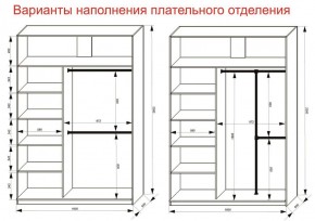 Шкаф-купе 1600 серии SOFT D6+D4+B2+PL2 (2 ящика+1штанга+1 полка) профиль «Капучино» в Лысьве - lysva.ok-mebel.com | фото 9