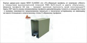 Шкаф-купе 1700 серии NEW CLASSIC K3+K3+B2+PL1 (2 ящика+1 штанга) профиль «Капучино» в Лысьве - lysva.ok-mebel.com | фото 5
