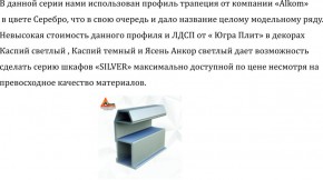 Шкаф-купе 2250 серии SILVER S3+S1+S3Z B22+PL2 (по 2 ящика лев/прав+1штанга+1 полка) профиль «Серебро» в Лысьве - lysva.ok-mebel.com | фото 4