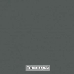Шкаф купе без зеркала "Ольга-Лофт 10.1" в Лысьве - lysva.ok-mebel.com | фото 7