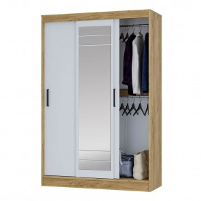 Шкаф-купе Тео ШКК-02 (крафт/белый) в Лысьве - lysva.ok-mebel.com | фото 3