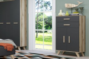 Шкаф низкий Вега Скандинавия в Лысьве - lysva.ok-mebel.com | фото 8