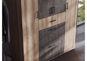 Шкаф платяной Паркинс в Лысьве - lysva.ok-mebel.com | фото 3