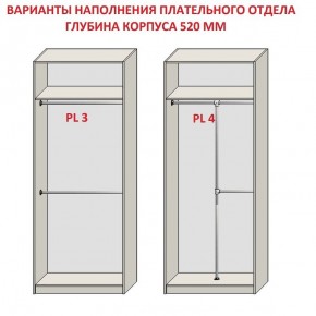 Шкаф распашной серия «ЗЕВС» (PL3/С1/PL2) в Лысьве - lysva.ok-mebel.com | фото 10