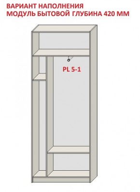 Шкаф распашной серия «ЗЕВС» (PL3/С1/PL2) в Лысьве - lysva.ok-mebel.com | фото 4