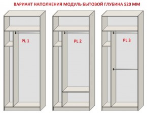 Шкаф распашной серия «ЗЕВС» (PL3/С1/PL2) Серый камень/Небраска натуральный в Лысьве - lysva.ok-mebel.com | фото 5