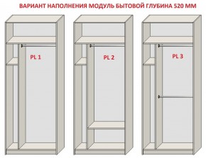 Шкаф распашной серия «ЗЕВС» (PL3/С1/PL2) в Лысьве - lysva.ok-mebel.com | фото 5