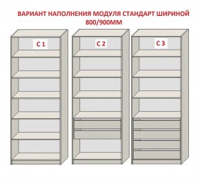 Шкаф распашной серия «ЗЕВС» (PL3/С1/PL2) в Лысьве - lysva.ok-mebel.com | фото 6