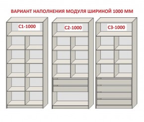 Шкаф распашной серия «ЗЕВС» (PL3/С1/PL2) Серый камень/Небраска натуральный в Лысьве - lysva.ok-mebel.com | фото 7