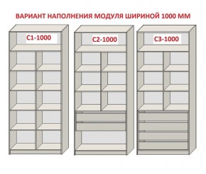 Шкаф распашной серия «ЗЕВС» (PL3/С1/PL2) в Лысьве - lysva.ok-mebel.com | фото 7