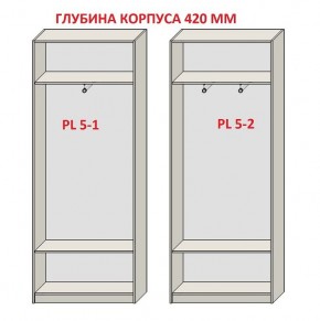 Шкаф распашной серия «ЗЕВС» (PL3/С1/PL2) Серый камень/Небраска натуральный в Лысьве - lysva.ok-mebel.com | фото 8