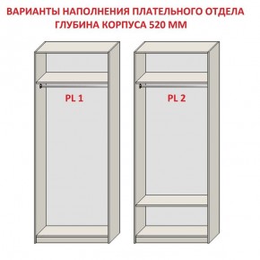 Шкаф распашной серия «ЗЕВС» (PL3/С1/PL2) в Лысьве - lysva.ok-mebel.com | фото 9